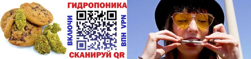 ОМГ ОМГ ONION  darknet какой сайт  Кировск  Еда ТГК марихуана  закладка 