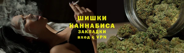 ПСИЛОЦИБИНОВЫЕ ГРИБЫ Аркадак