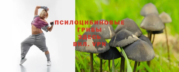 стаф Балахна