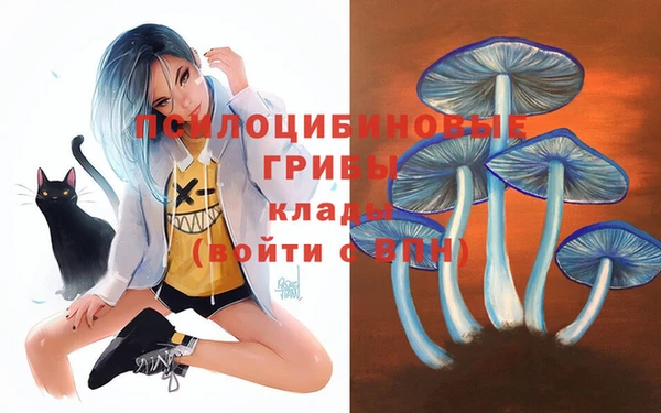 apvp Баксан