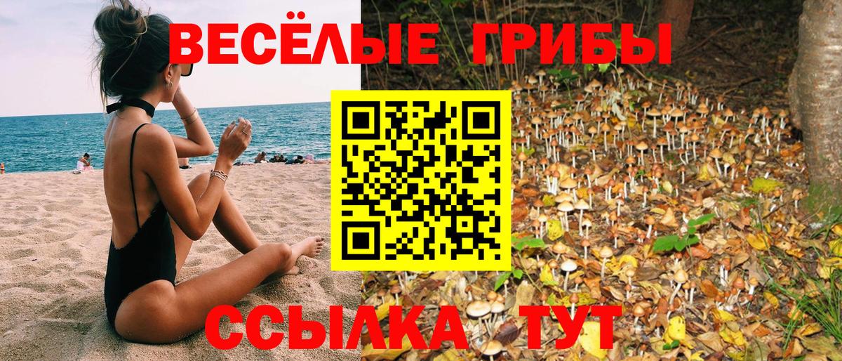 Кировск  Галлюциногенные грибы MAGIC MUSHROOMS  Вход с VPN  Псилоцибиновые грибы Psilocybe 